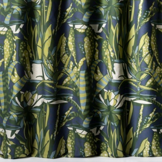 Nobilis Eden Agaves_10859-75