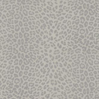 Zambaiti Philipp Plein Z80044