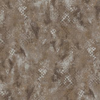 Roberto Cavalli No.9 21058