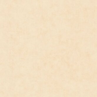 Caselio Beton 2 101481247