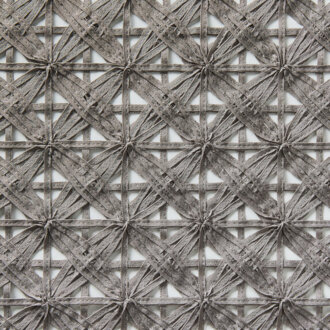  Villa Farnesina 15483994