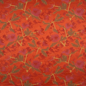 Nobilis Extravaganza Valentina_10878-56