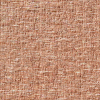  Maison-Jardin 19585335