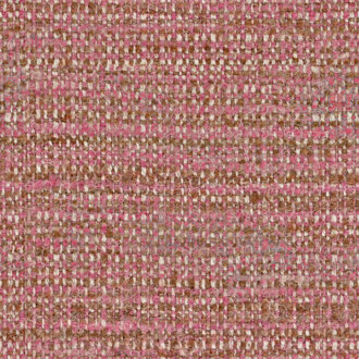 Etamine Nagpur 19624654