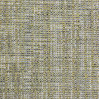  Berbero amastan_col16