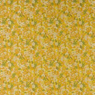 Manuel Canovas Marsan M4109-01