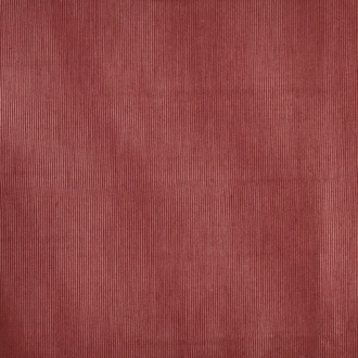 Dedar Amoir Fou T20007_022