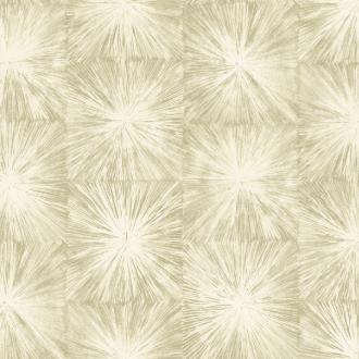 Carl Robinson Edition 9 91517 CB