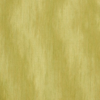 Dedar Amoir Fou T20007_031