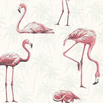 Paper & Ink Coastal Chic CO11001