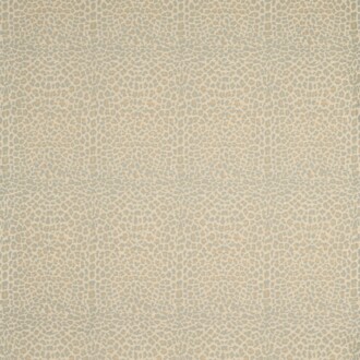  Icones Fauve_10945-61