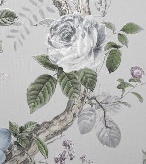 Andrea Rossi Cavolli 54421_4