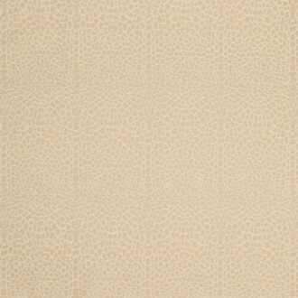  Icones Fauve_10945-06