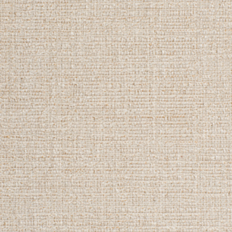 Dedar Aristotele T2303300_002