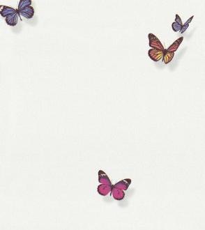 Andrea Rossi Spectrum Max 54363_1