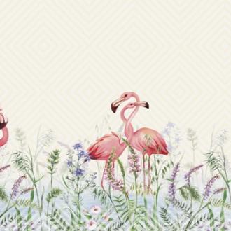 Ortograf Paradise OR 32255