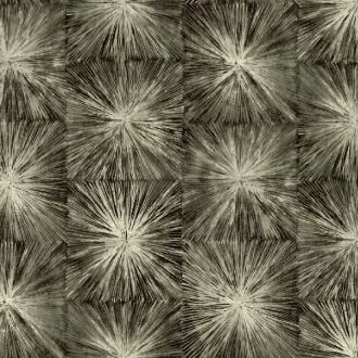 Carl Robinson Edition 9 91507 CB