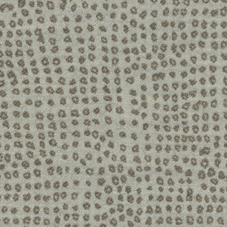  Modern Legacy DE13514