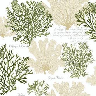 Jaima Brown Charleseton Home jb51500