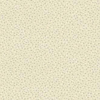 Paper & Ink Coastal Chic CO11400