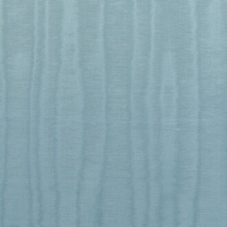  Central Park - Out of Africa 44169564