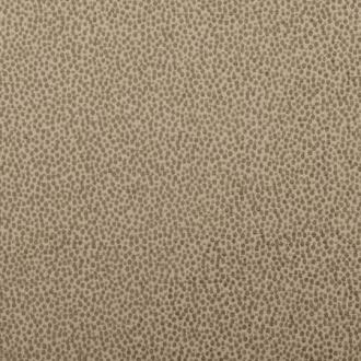 Clarke&Clarke Cesare F0402-24