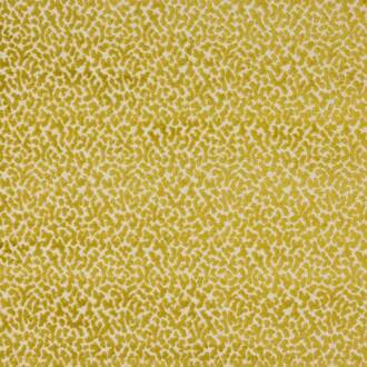 Manuel Canovas Palto M4110-04