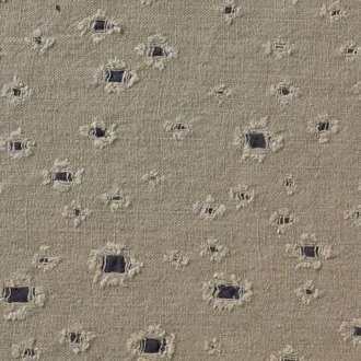 Nobilis Influences THEIA_10345-44