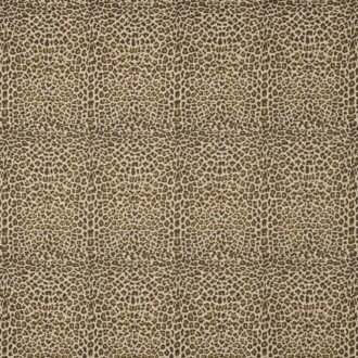  Icones Fauve_10945-23