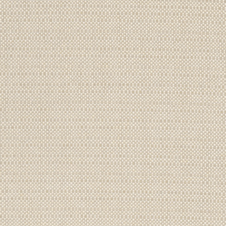 Clarke&Clarke Exotica F1299-05