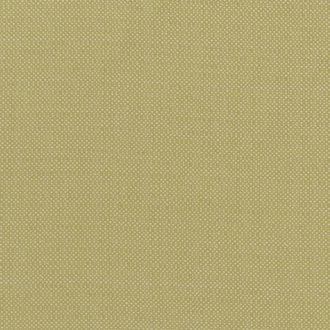 Clarke&Clarke Exotica F1299-03