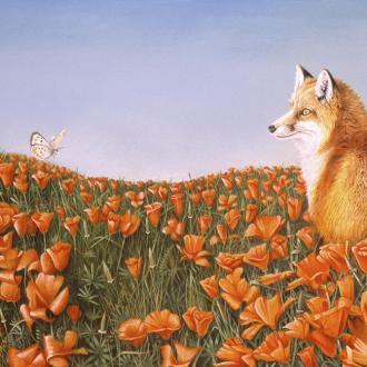 Photowall Детские обои fox-and-butterfly-on-curious-petals