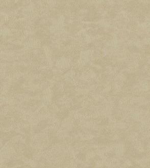 Bernardo Bartalucci Gabriella 84134_10