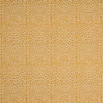  Icones Fauve_10945-32