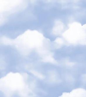 Bernardo Bartalucci Milashka 84248_5