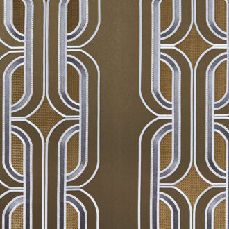  Villa Farnesina 15481798