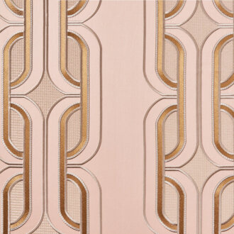  Villa Farnesina 15481484