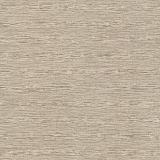 Roberto Cavalli No.9 21087