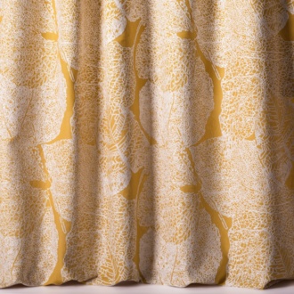 Nobilis Phoenicia Rachel_10842-35